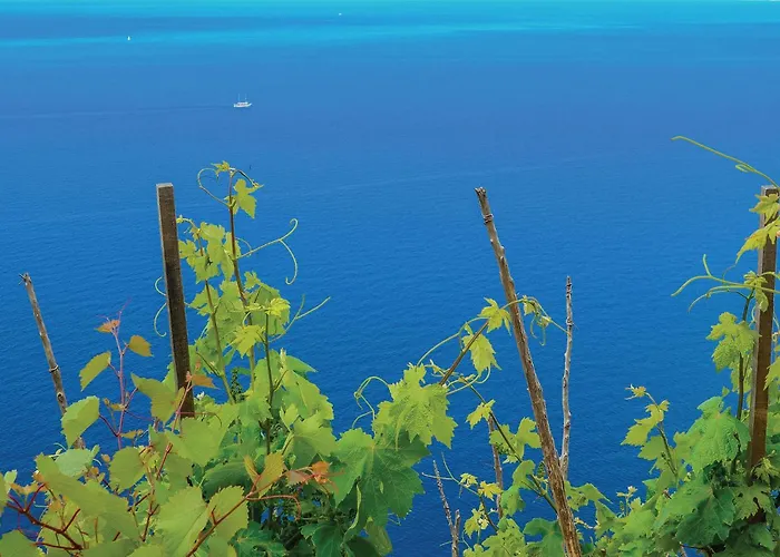 Cozy In With Wifi Trpanj